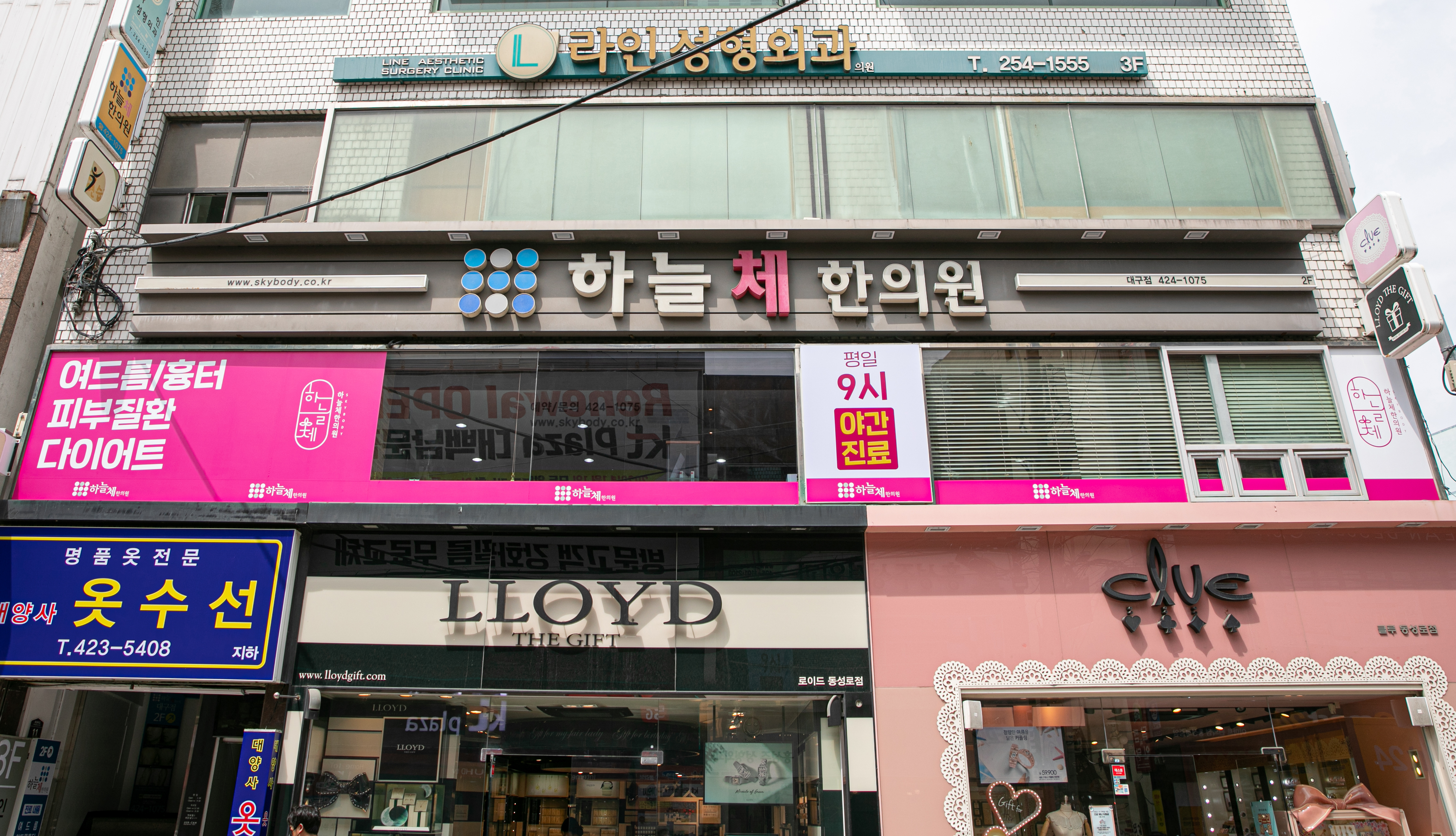 하늘체한의원 대구점 사진 4